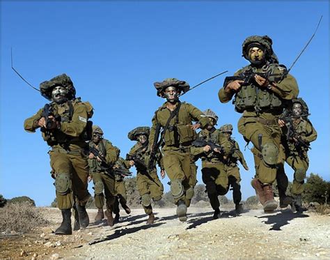 israel defence forces official